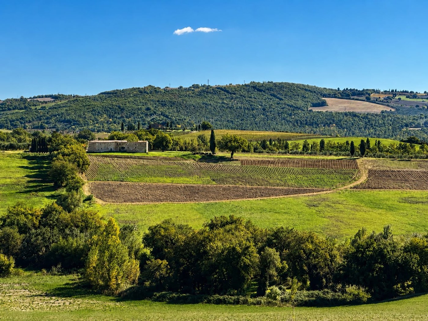 Val d'Orcia — el viñedo de Oria Estate en la Toscana